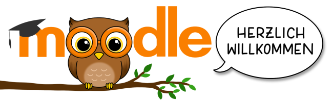 Lernplattform der Grundschule